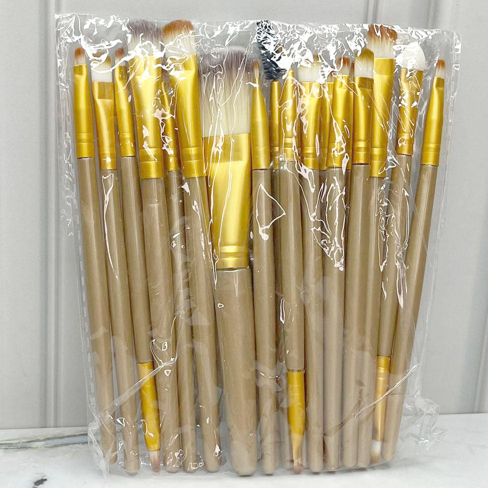 Set de brochas x20